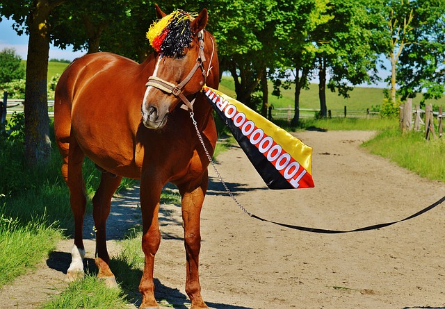 队员分担了 队员分担了