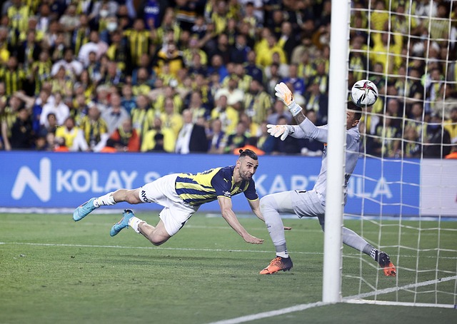 但大连英博 但大连英博