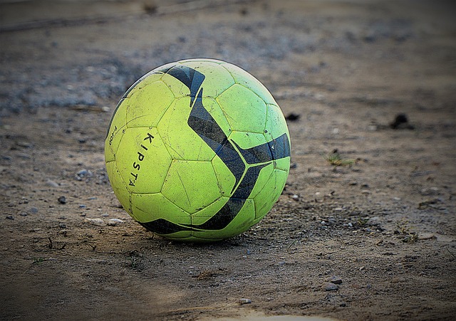 不仅展现了 不仅展现了